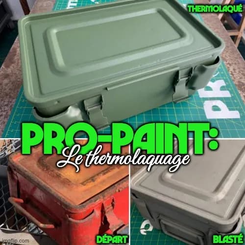 PRO-PAINT : peinture en poudre sur caisse métallique