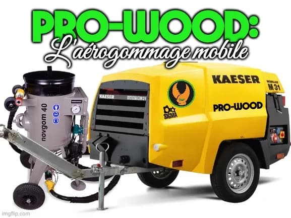 PRO-WOOD : unité mobile d'aérogommage