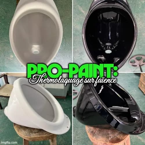 PRO-PAINT : peinture en poudre sur faïence