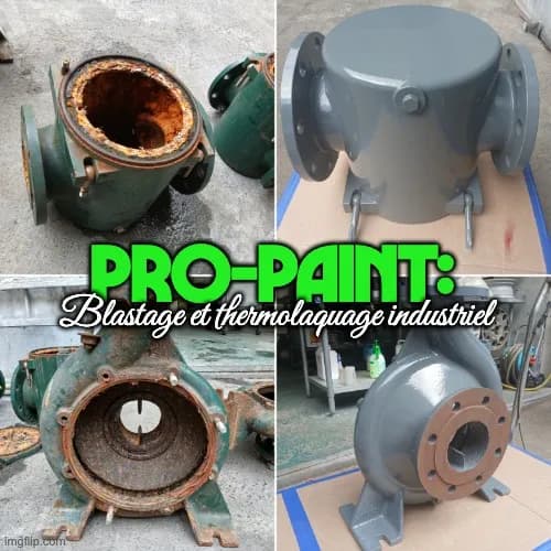 PRO-PAINT : sablage et peinture en poudre sur pompes à eau