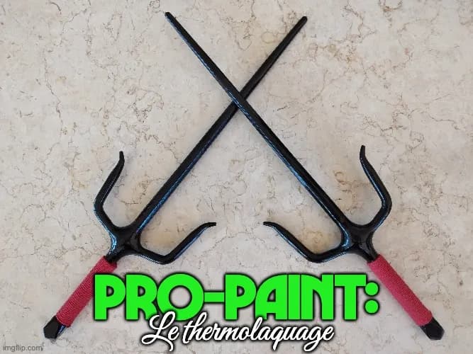 PRO-PAINT : thermolaquage (powder coating) sur armes saï